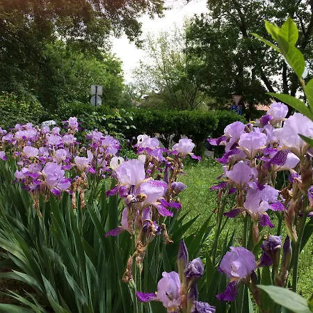 아파트 이리스 아파르트먼 *